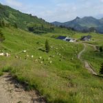 Alpe Gävis